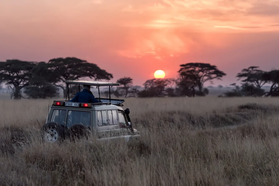 5 Days Lake Manyara / Ngorongoro / Serengeti Camping Safaris