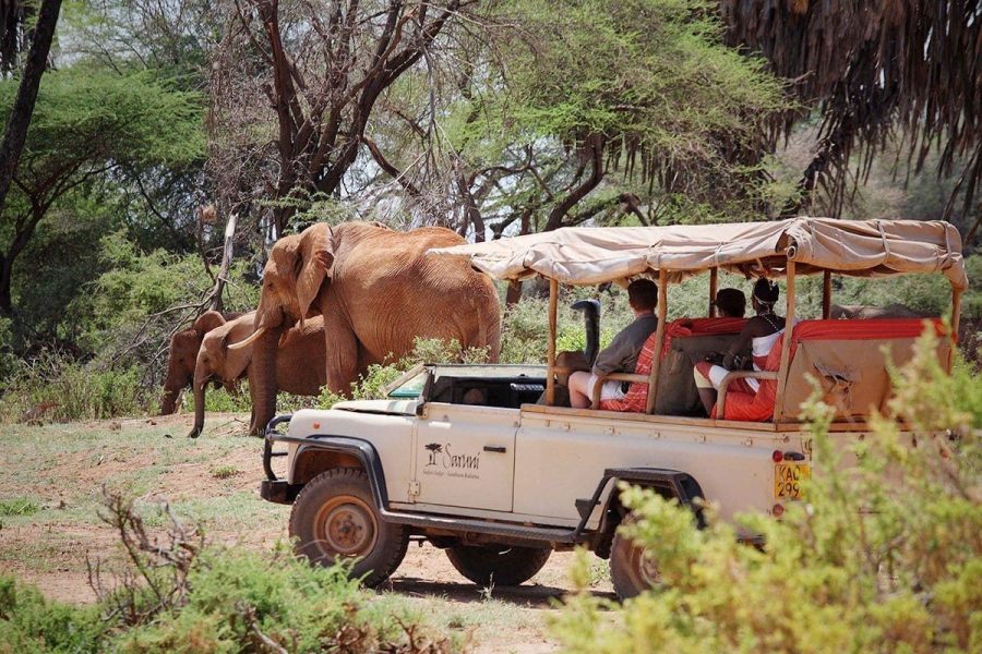 3 Days Samburu Camping Safaris