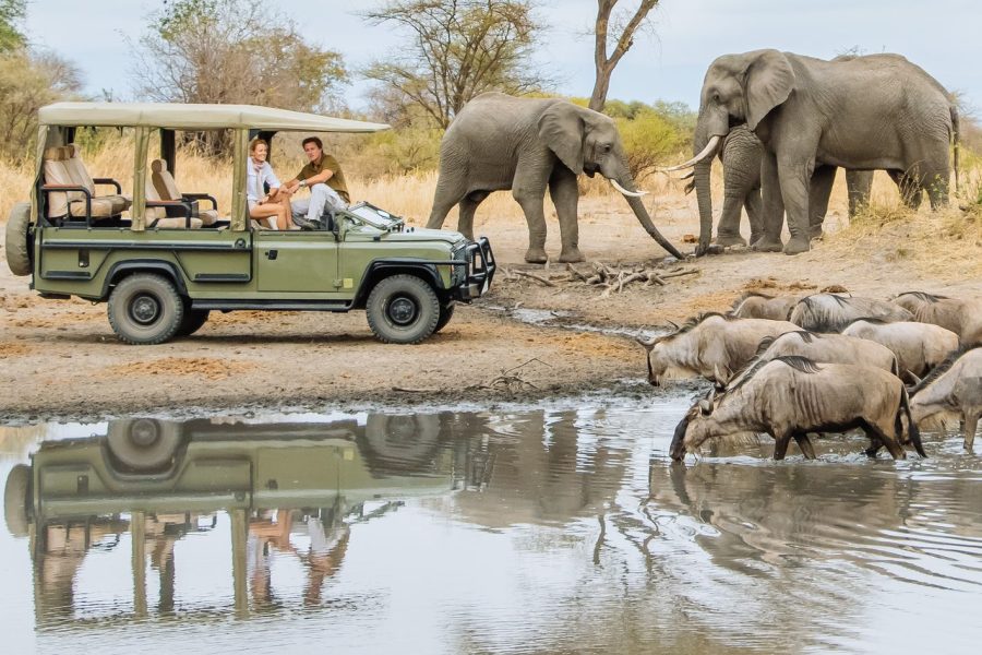 3 Days Ngorongoro/ Lake Manyara Lodge Safaris