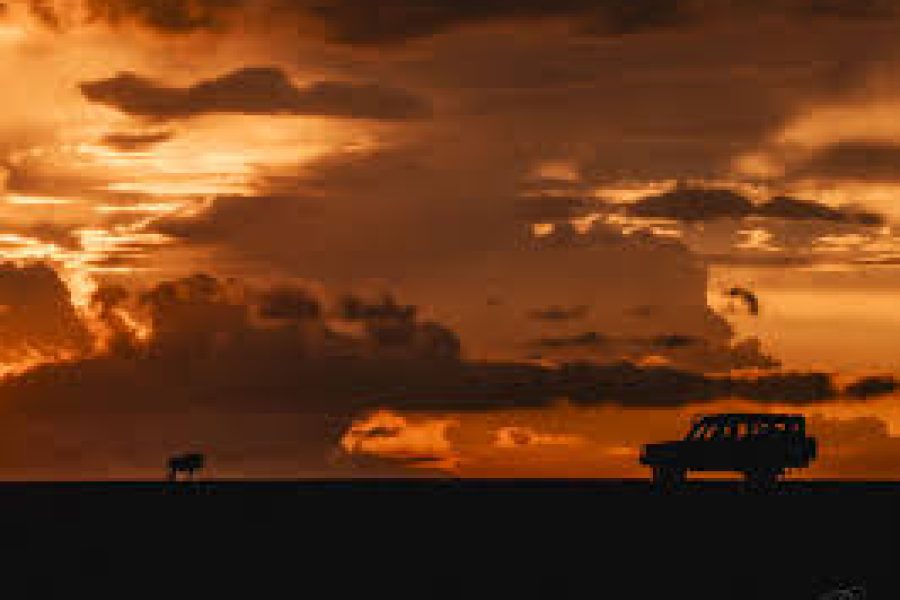 Masai Mara Sundown