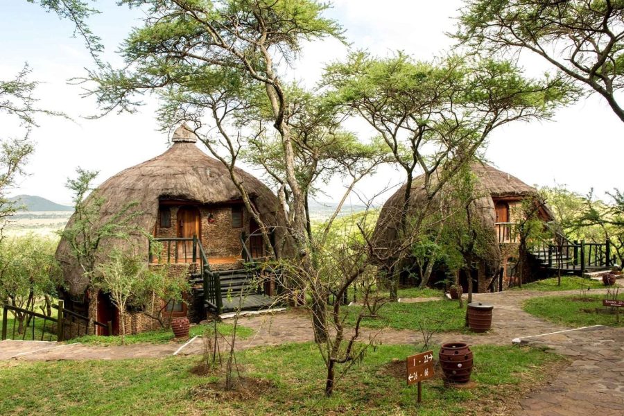 5 Days Lake Manyara / Ngorongoro / Serengeti Lodge Safaris