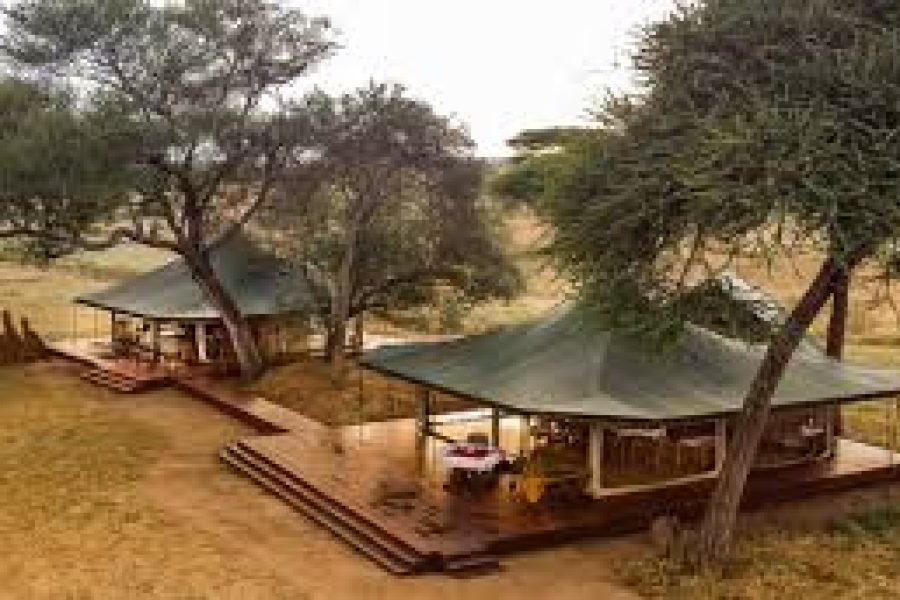 Tarangire Camping
