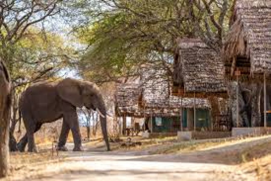 Tarangire Safari Lodge3