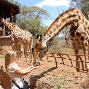 Best Kenya & Tanzania Safaris