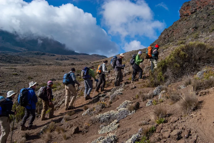 8 Days Mt. Kilimanjaro Trekking: Machame Route