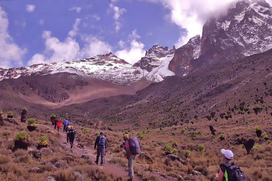 6 Days Mt kenya Climbing: up Sirimon down Chogoria