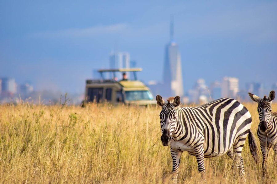 Nairobi National Park, Giraffe Center & Elephant Orphanage Day Tour