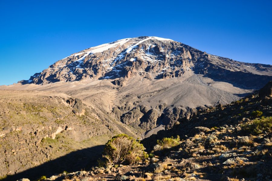 8 Day Mt Kilimanjaro Climbing: Lemosho Route