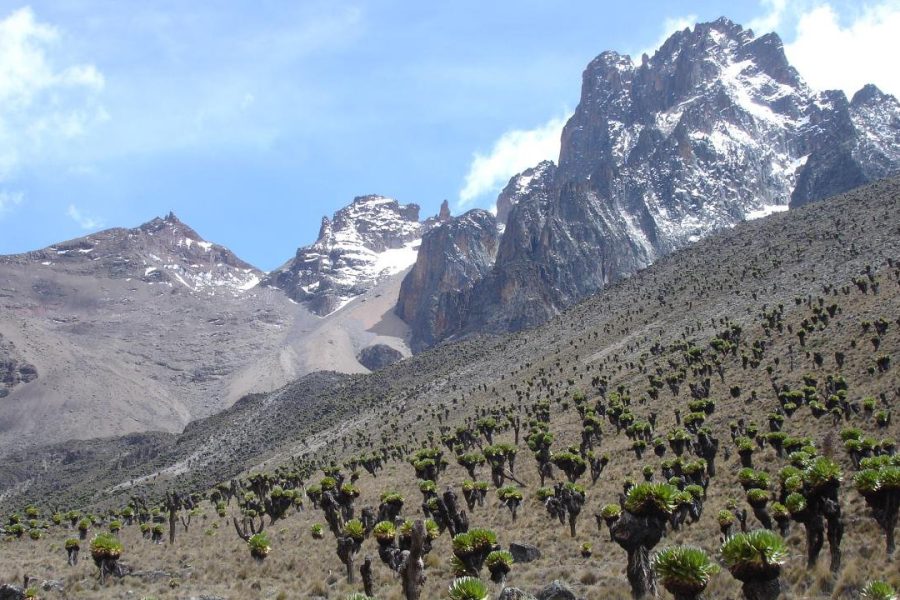 4 Days Mt Kenya climbing: up Naro Moru down Sirimon