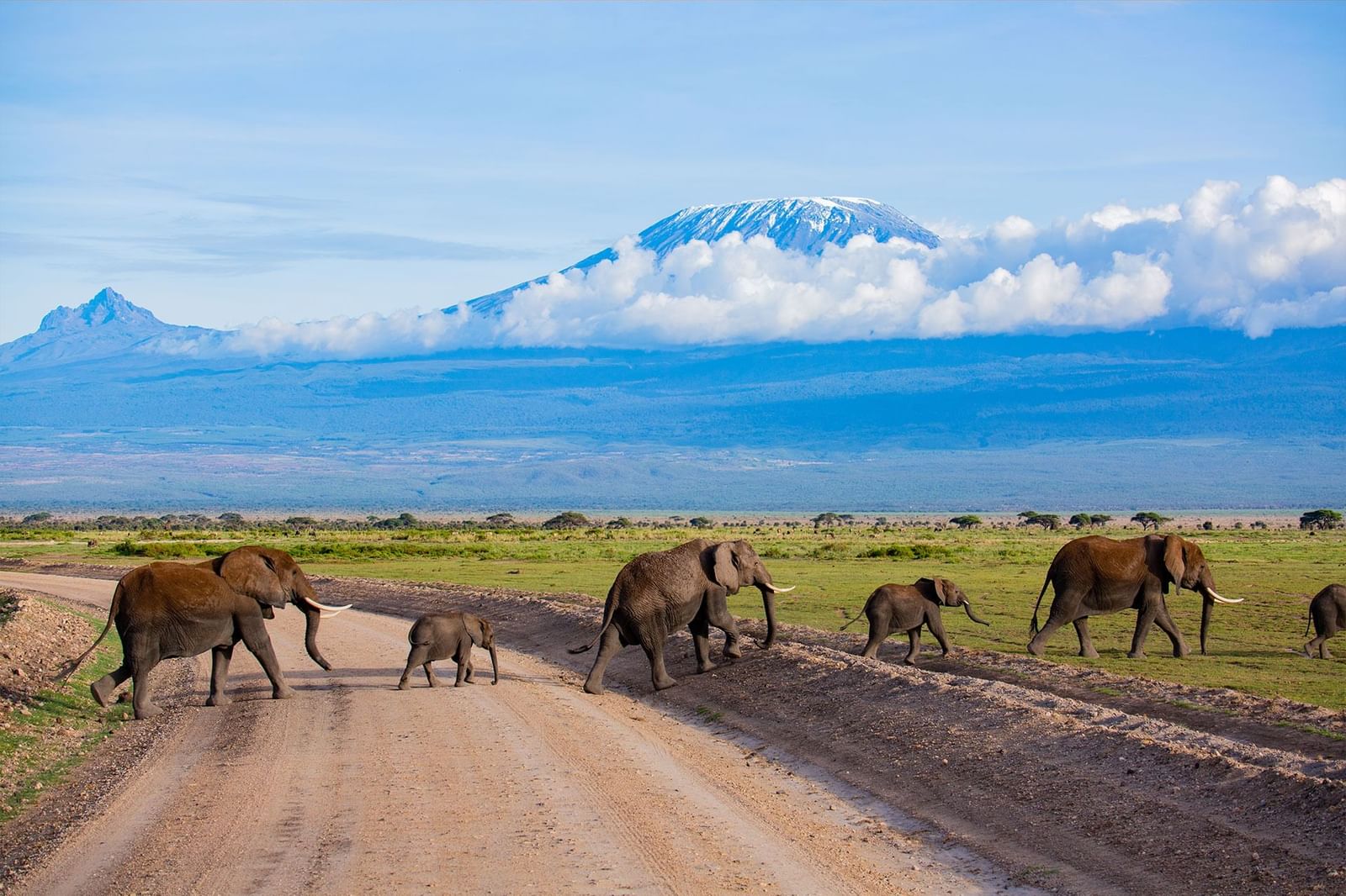 Panorama Safaris