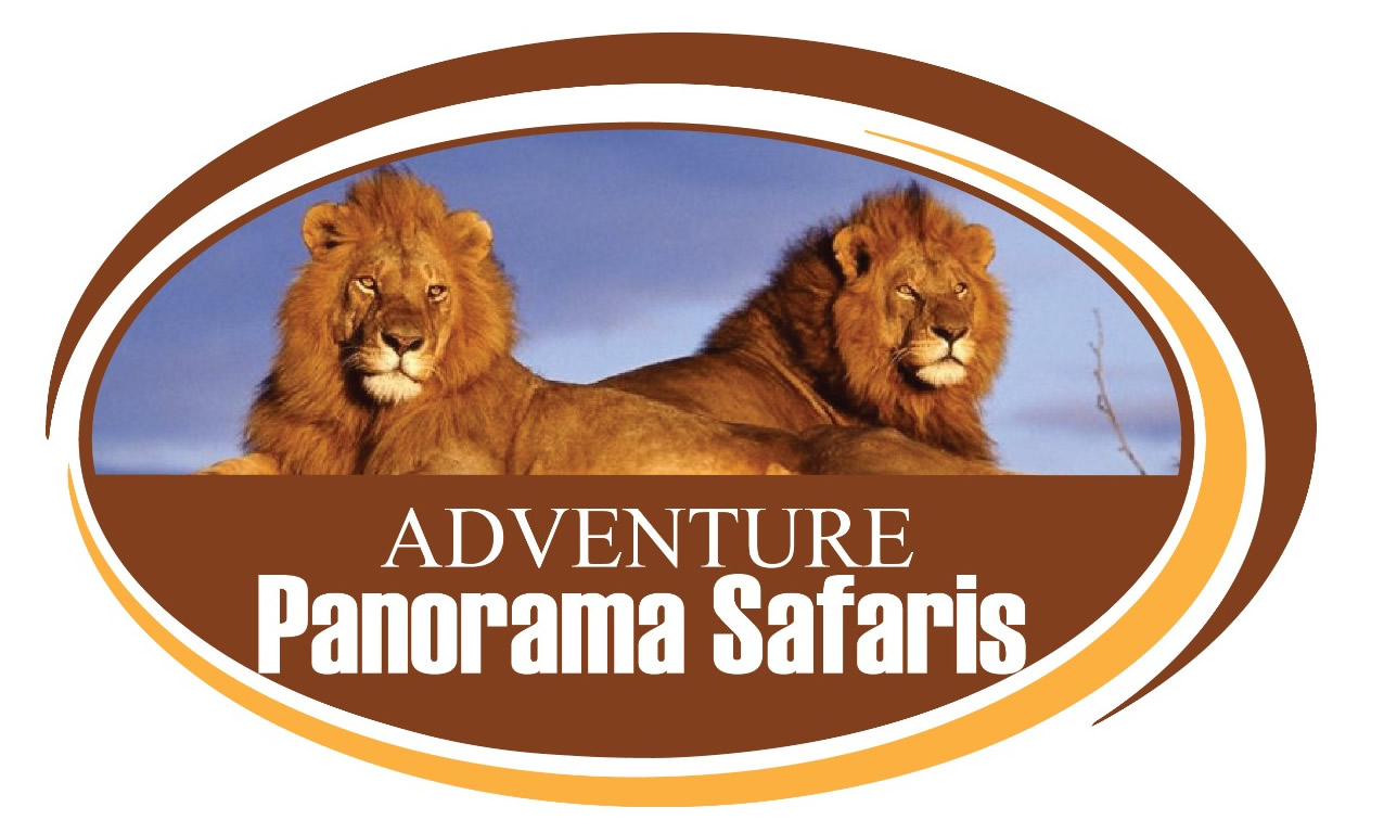 Best Kenya & Tanzania Safaris