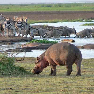 Lake Manyara