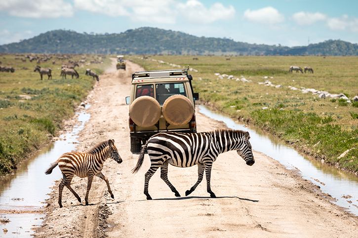 Panorama Safaris