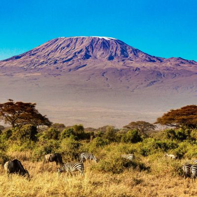 Kilimanjaro