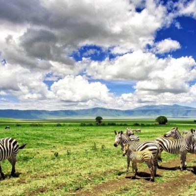 Kilimanjaro & Ngorongoro