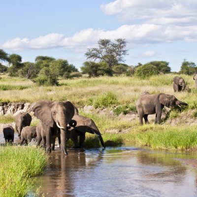 Kilimanjaro & Tarangire