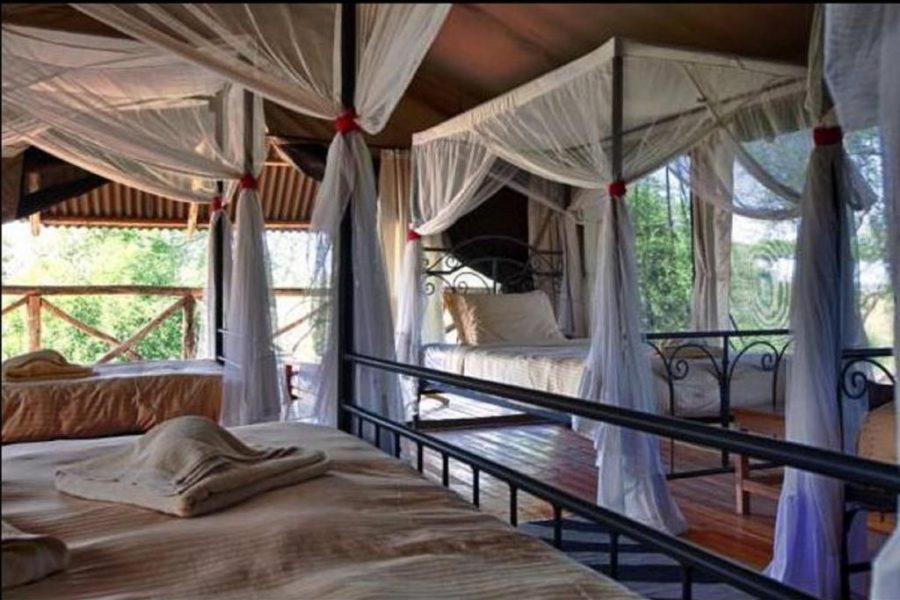6 Days 5 Nights – Aberdare, Lake Nakuru, Masai Mara Safari.