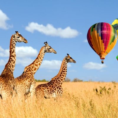 Balloon Safaris