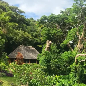 Mfangano Island Lodge