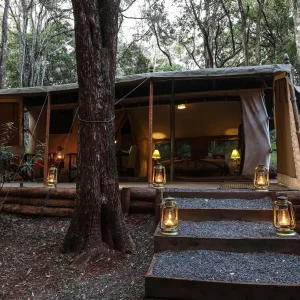 Nairobi Tented Camp