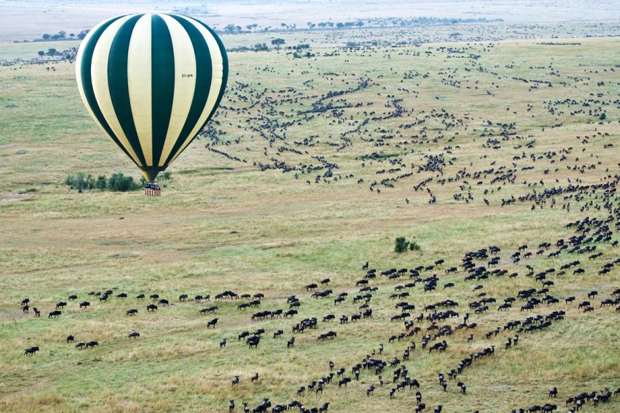 3 Days Masai Mara Camping Safari with Balloon Adventure