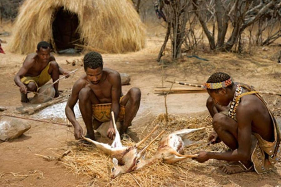 3-Day Wildlife and Cultural Experience in Tanzania
