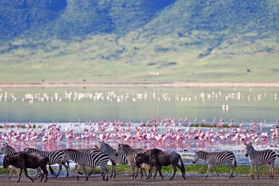 10 Days Southern Serengeti Safari