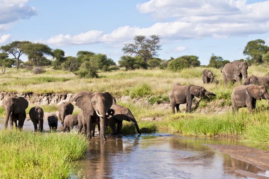 3-Day Wildlife and Cultural Experience in Tanzania