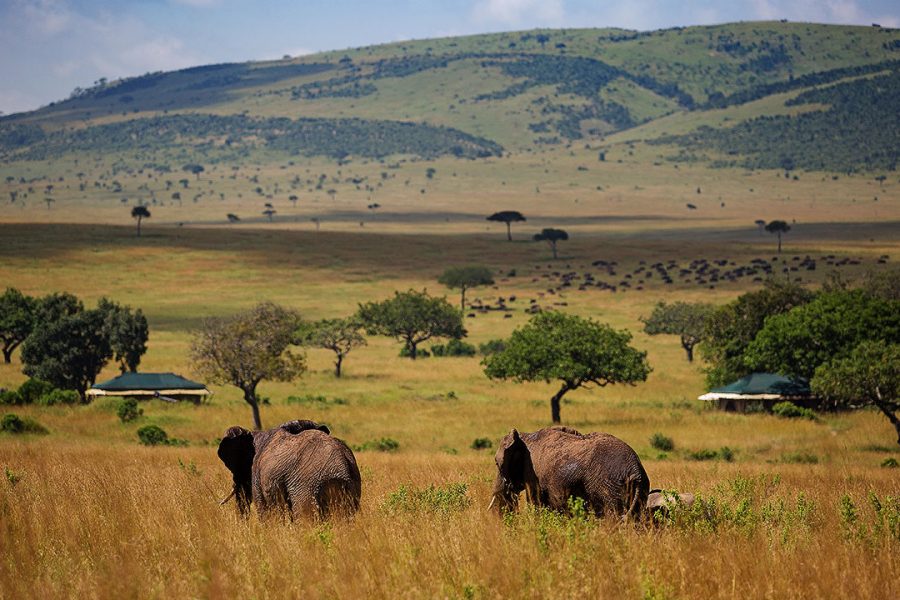 11 Days Kenya Safaris and Mombasa Beach Holiday