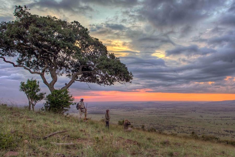 4 Days Safari Seeing wildebeest crossing Mara Rivers in Northern Serengeti