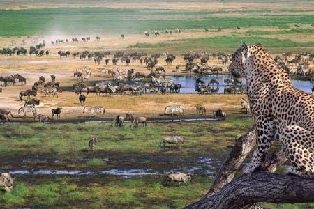 4 Days Serengeti-Ngorongoro Tanzania Budget Safaris