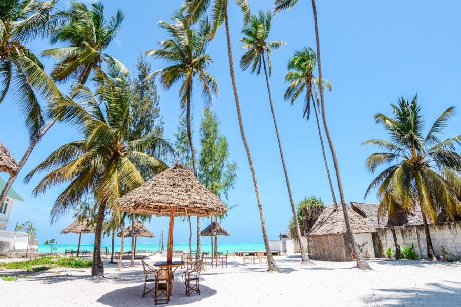10 Days Kenya Bush and Diani Beach Holiday