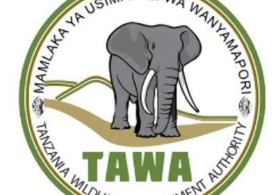tz tawa