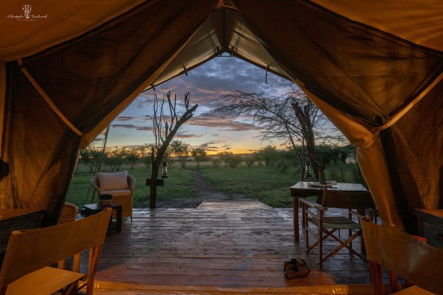 Mara Major camp